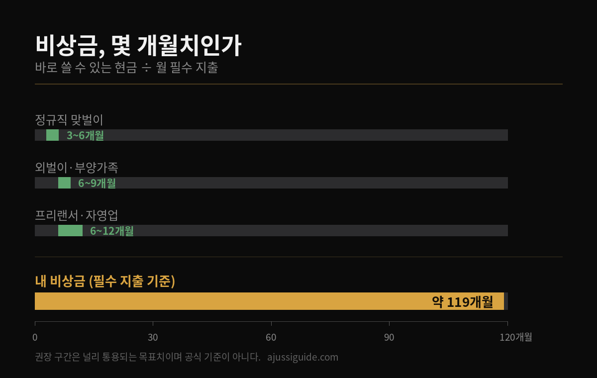 비상금 적정 금액 권장 구간 3~12개월과 실제 약 119개월치를 같은 축에 비교한 막대그래프